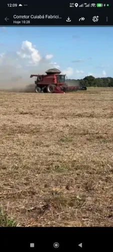 Fazenda de Arrendamento Soja 1.000 hec plantando em Poconé trevo do largato