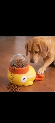 Alimentador de cães e brinquedo
