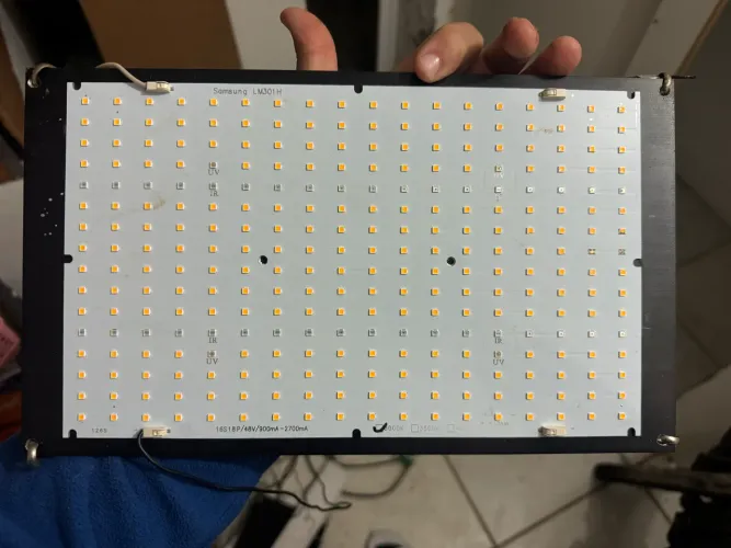 Painel LED Grow Samsung LM301H 240W + Driver Mean Well Original