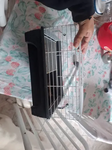 Gaiola de hamster 