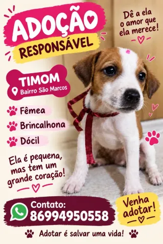 Adoção