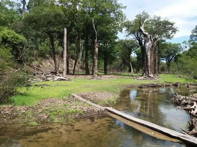 Terreno próximo à Novo Airão