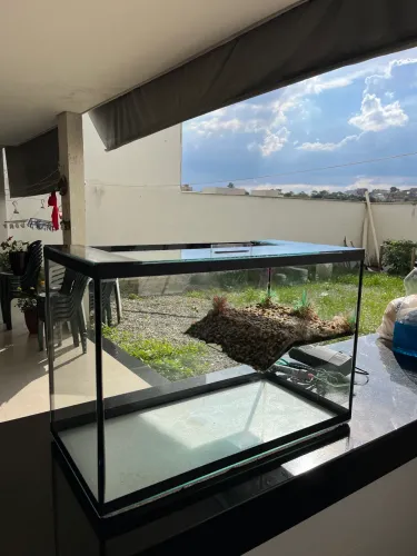 Aquaterrario 40l seminovo 