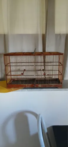 Vendo gaiola 60 reais 