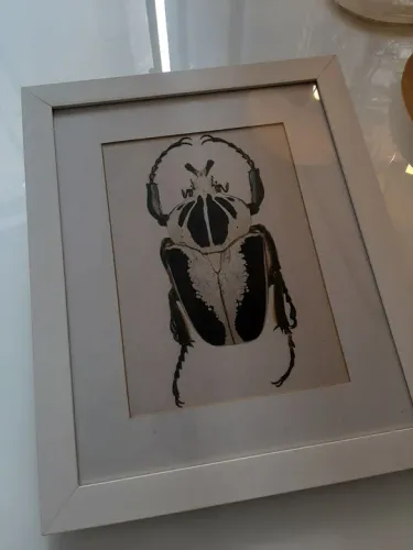 4 telas besouros quadro casa escritório decoração parede pet organização papel 