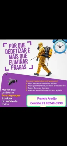 Dedetização ( Grilos, baratas, formigas etc..)