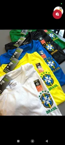 Camisa do brasil p m g gg