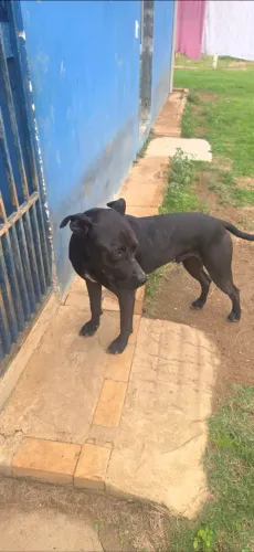 Para doação pessoa responsável 