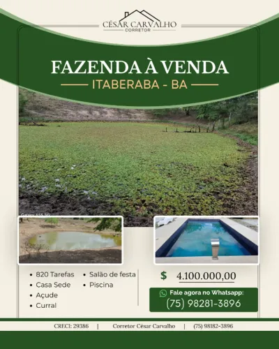 FAZENDA EM ITABERABA - 820 TAREFAS