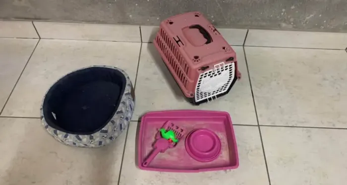 Vendo casa, cama, suporte de areia para fezes, vasilha para comida e água. 