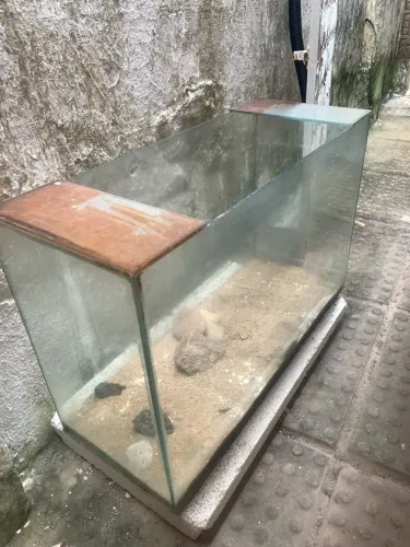 Aquário 100L