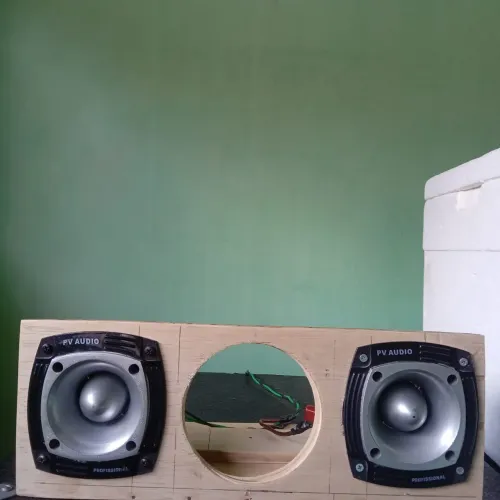 Vendo tuita pv áudio
