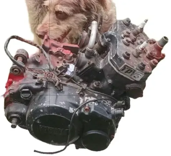 *PEÇAS DO MOTOR DA RD 350