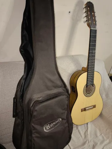 Violão Elétrico 7 Cordas Rozini Rx207 Fosco Rx207