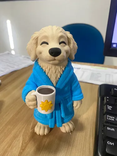 Pet de Decoração labrador de pijama