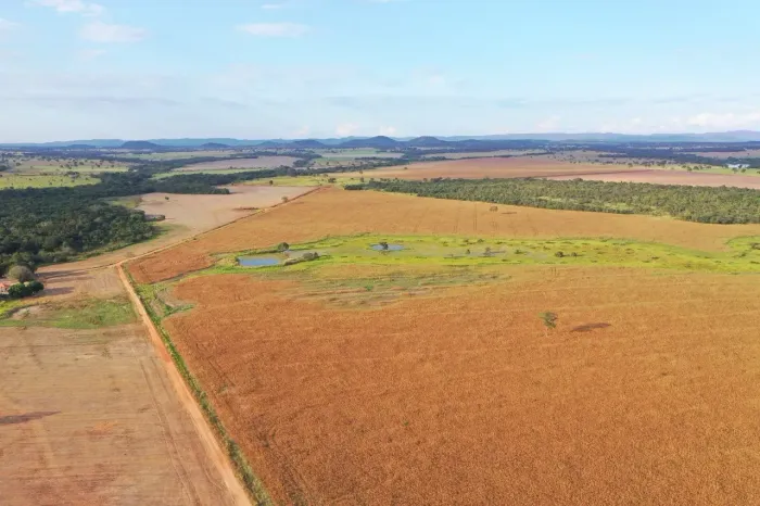 Fazenda a venda, em Matrinchã - Goiás!!