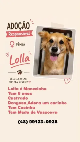 Doação
