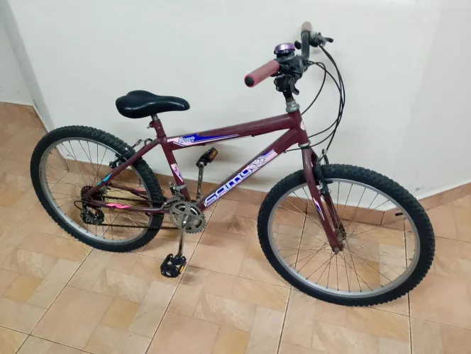 Bicicleta aro 24