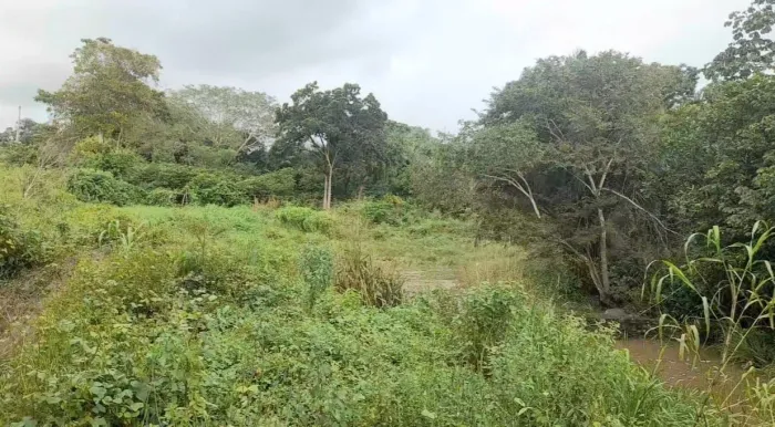 Terreno à venda, 20000 m² por R$ 350.000 - Rural - Itapororoca/PB