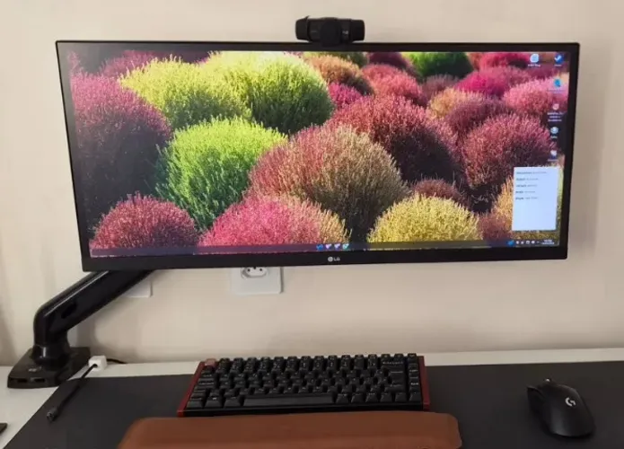 Monitor LG 29" UltraWide Full HD 75Hz