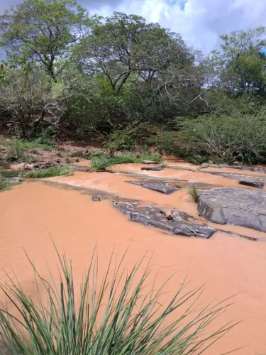 Município de Jequitaí 22 Hectares ,Água de Rio em Abundância!!! De 250.000 por 219.900.00