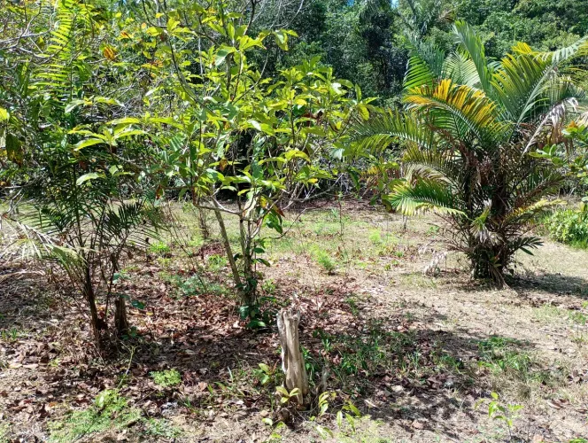 Tamanho 100 x200