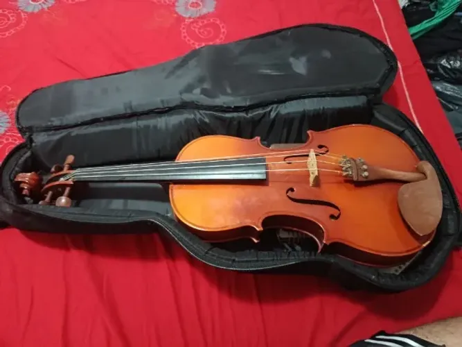 Viola erudita VK 160 Eagle