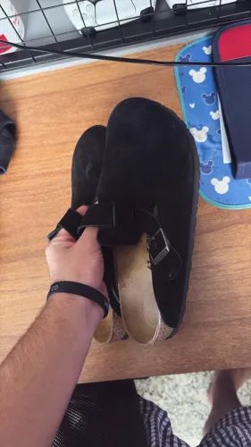 birken boston