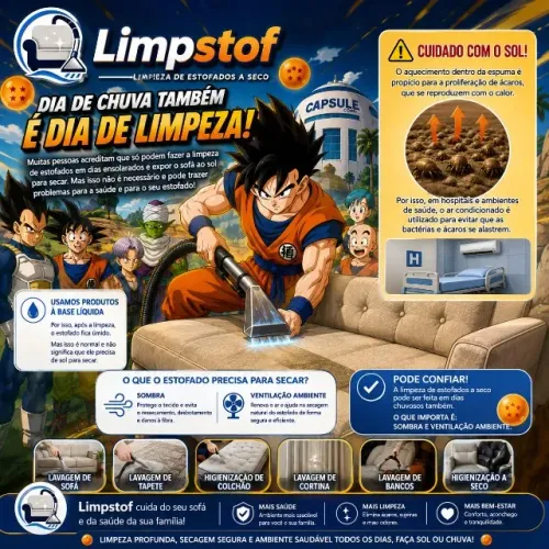 Lavagem a seco:.:.: seu estofado limpo e seguro :::
