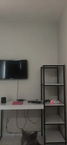 ESCRIVANINHA NOVA