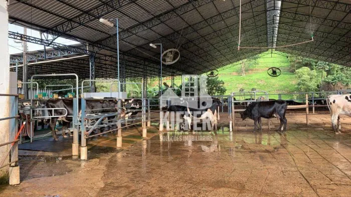 Fazenda com 6 dormitórios à venda, 851471 m² por R$ 8.000.000,00 - Área Rural de Itajubá -