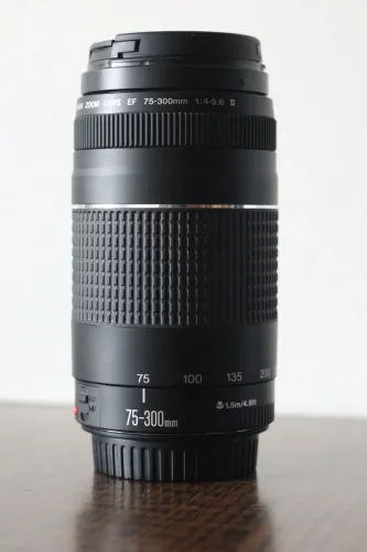 Lente Canon EF 75-300 mm F/4-5,6 Iii