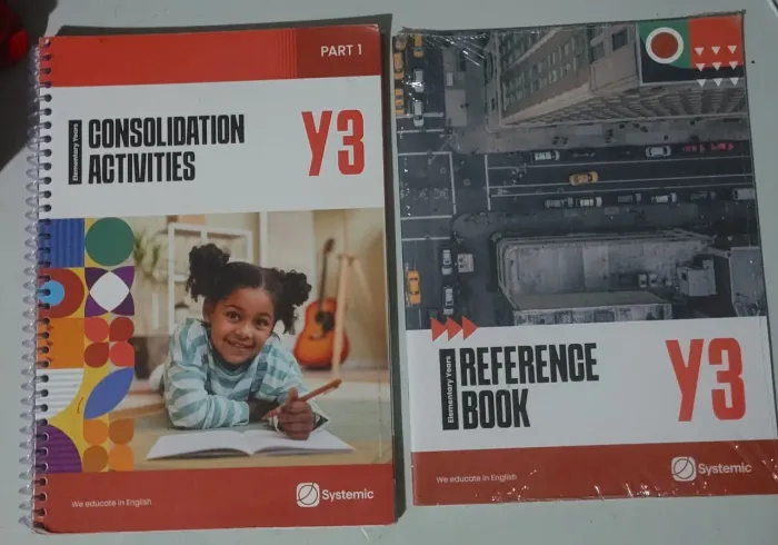 Livro de inglês - Systemic Bilingual Y3 - Elementary years - Consolidation Activities