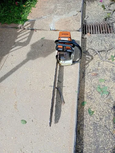 PODA E PLANTIO DE GRAMA