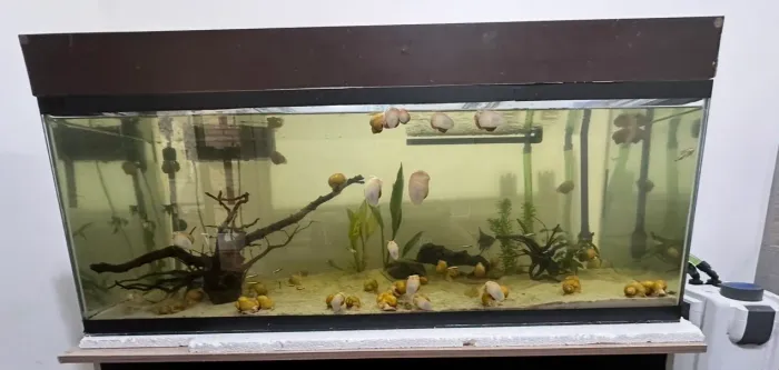 Aquário 200L completo com móvel