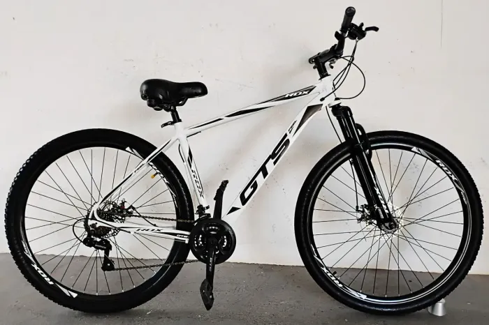 BICICLETA MARAVILHOSA ARO 29