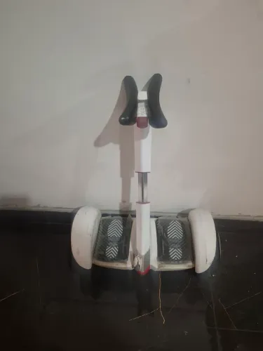 Nine bot overboard