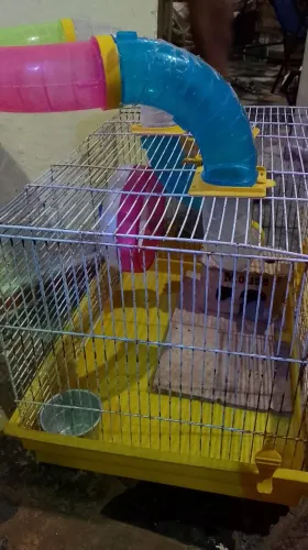 Gaiola para hamster ?
