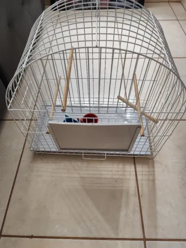 Vendo Gaiola para Calopsita