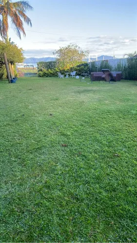 MW jardinagem e paisagismo