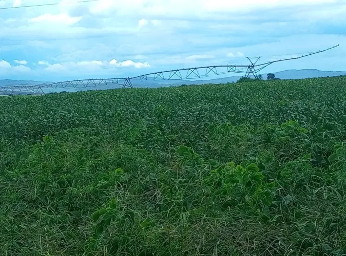 Fazenda 65 alqueires a venda em Zona Rural - Itaberaí - GO
