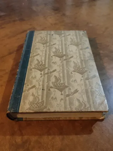 Livro Antigo Déc. 1920 - «Katinka, die Fliege» de Herbert Eulenberg (Edição Alemã DBG)