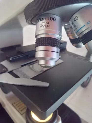 Microscopio  Nikon  profisional