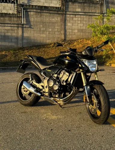 Hornet 2010 