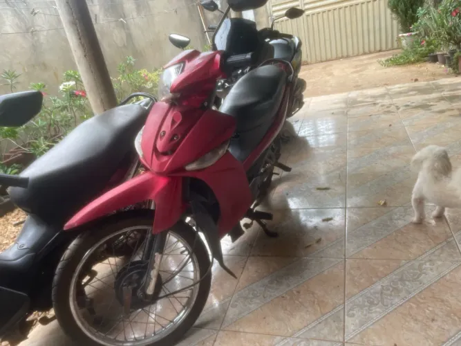 Yamaha T115 Crypton K 2013