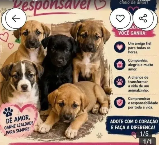 Filhotinhos