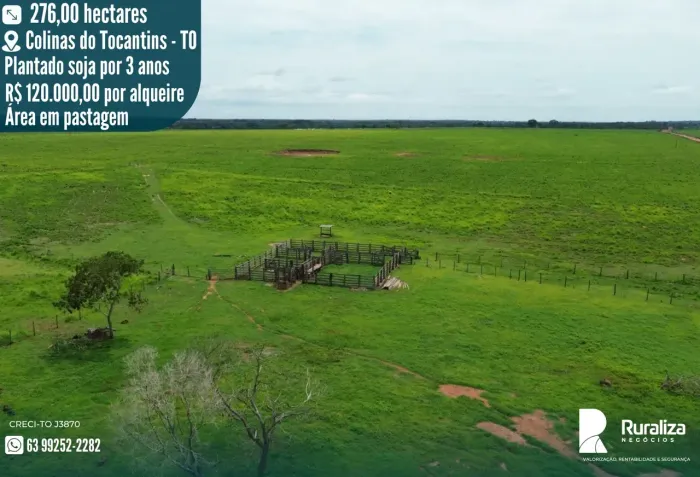 Fazenda em Colinas do Tocantins | 57,5 Alqueires | Área em Pastagem com Histórico de Soja