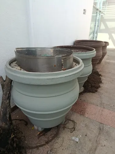 Jardim
