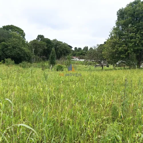 Sítio para Venda em São José dos Pinhais, Contenda