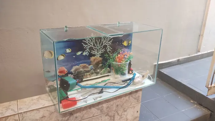 Aquário usado com alguns acessórios